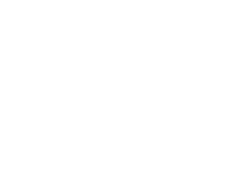 Runaway Revolution